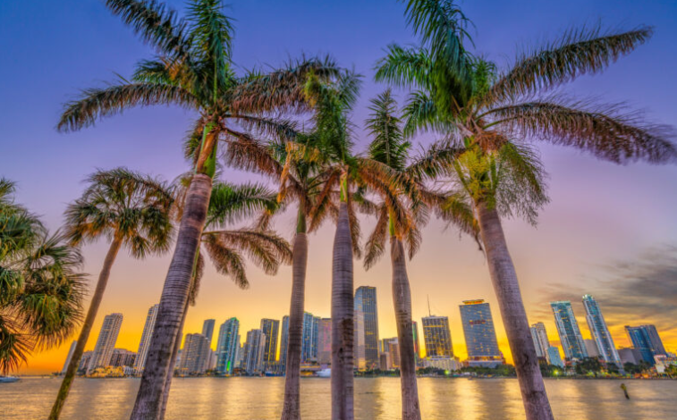 Why Florida Property Insurance Rates Might (and Might Not) Keep Falling…